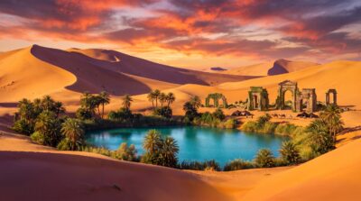 Golden Desert Oasis Wallpaper
